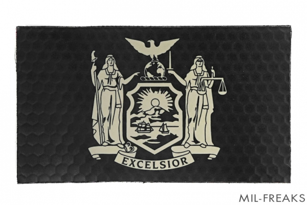 BritKitUSA US ニューヨーク州旗 “EXCELSIOR” IRパッチ